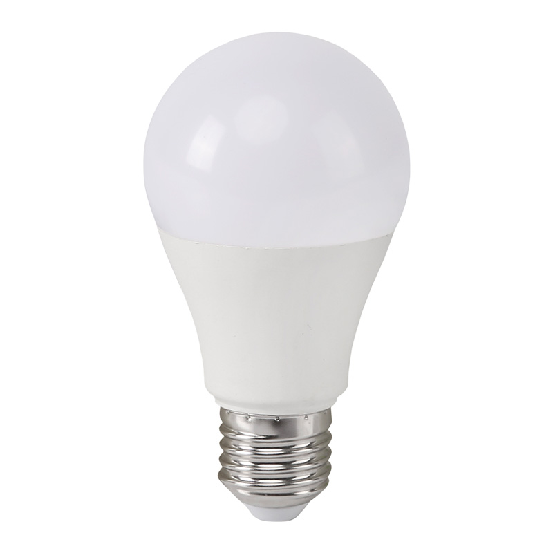 AC/DC 12-60V LED-lampen